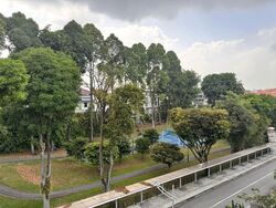 Toh Tuck Garden (D21), Terrace #542892241